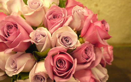 755429 (a): :2560x1600